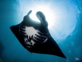   Bat sea  